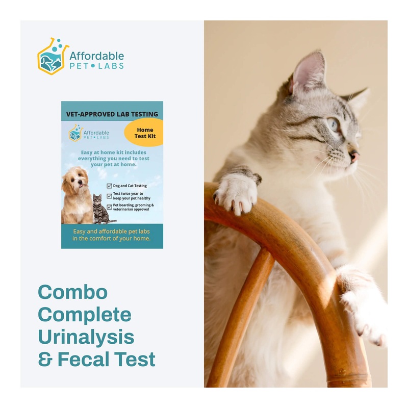 Affordable Pet Labs – Combo Complete Urinalysis & Fecal Test For Cats, Easy Home Kit