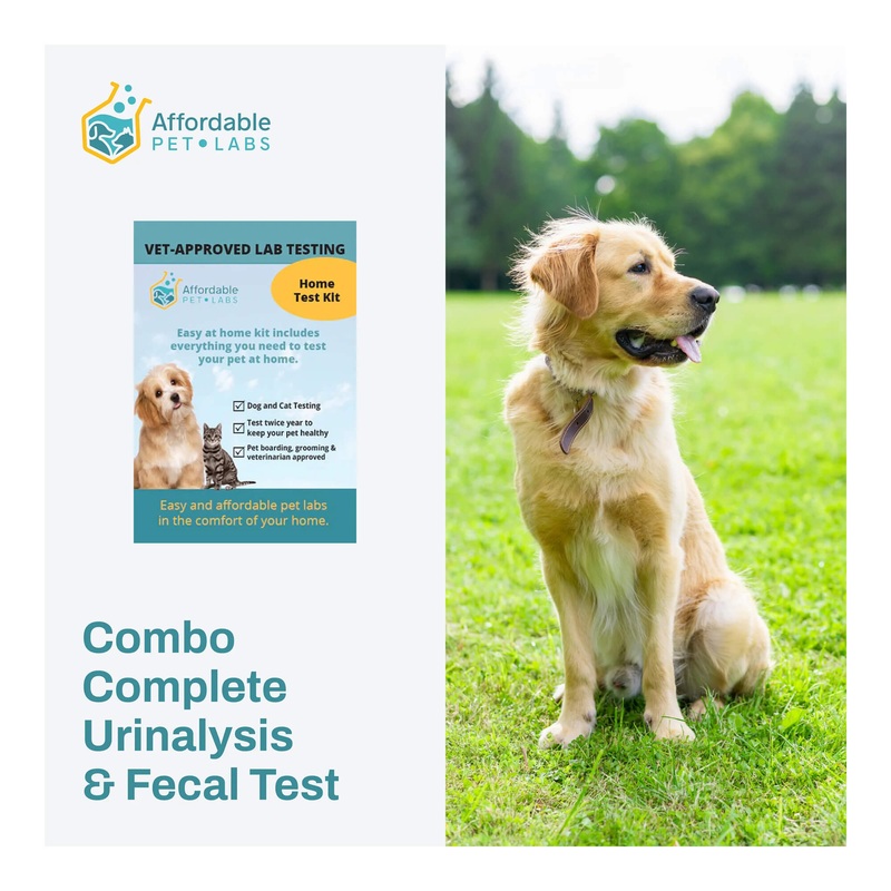 Affordable Pet Labs – Combo Complete Urinalysis & Fecal Test For Dogs, Easy Home Kit