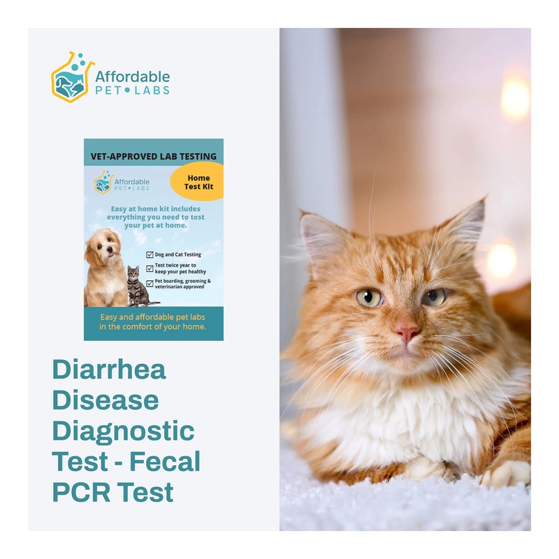 Affordable Pet Labs – Diarrhea Disease Diagnostic Test – Fecal PCR Test For Cats, Easy Home Kit