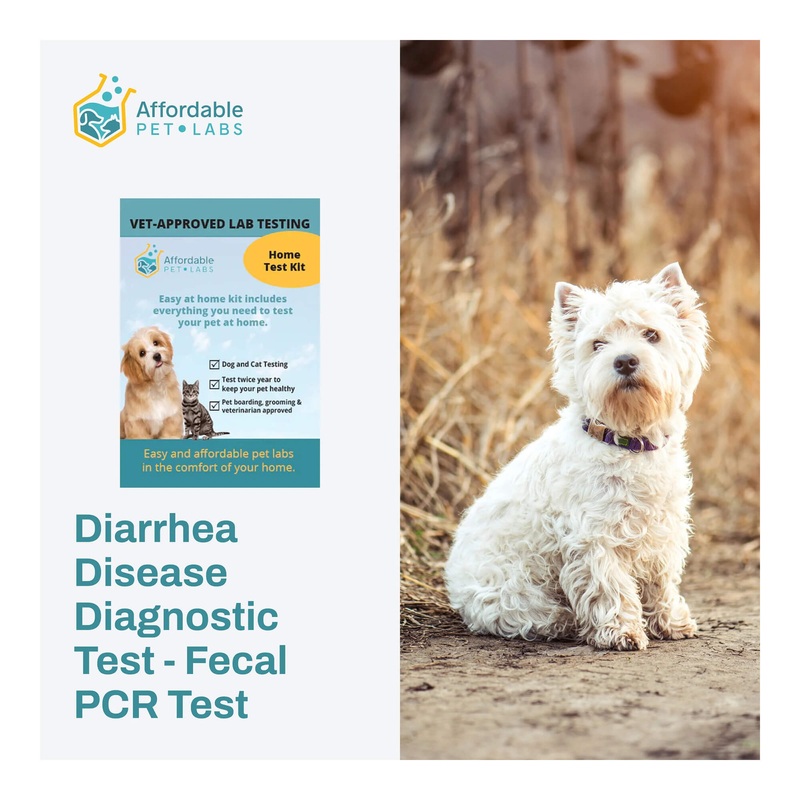 Affordable Pet Labs – Diarrhea Disease Diagnostic Test – Fecal PCR Test For Dogs, Easy Home Kit
