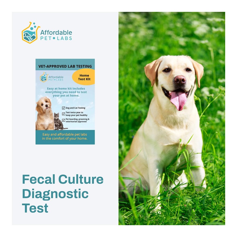 Affordable Pet Labs – Fecal Culture Diagnostic Test For Dogs, Easy Home Kit