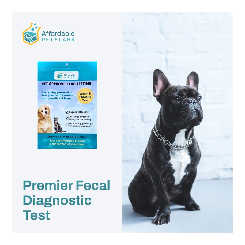 Affordable Pet Labs – Premier Fecal Diagnostic Test For Dogs, Easy Home Kit
