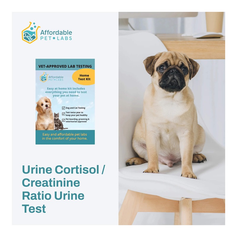 Affordable Pet Labs – Urine Cortisol / Creatinine Ratio Urine Test For Dogs, Easy Home Kit