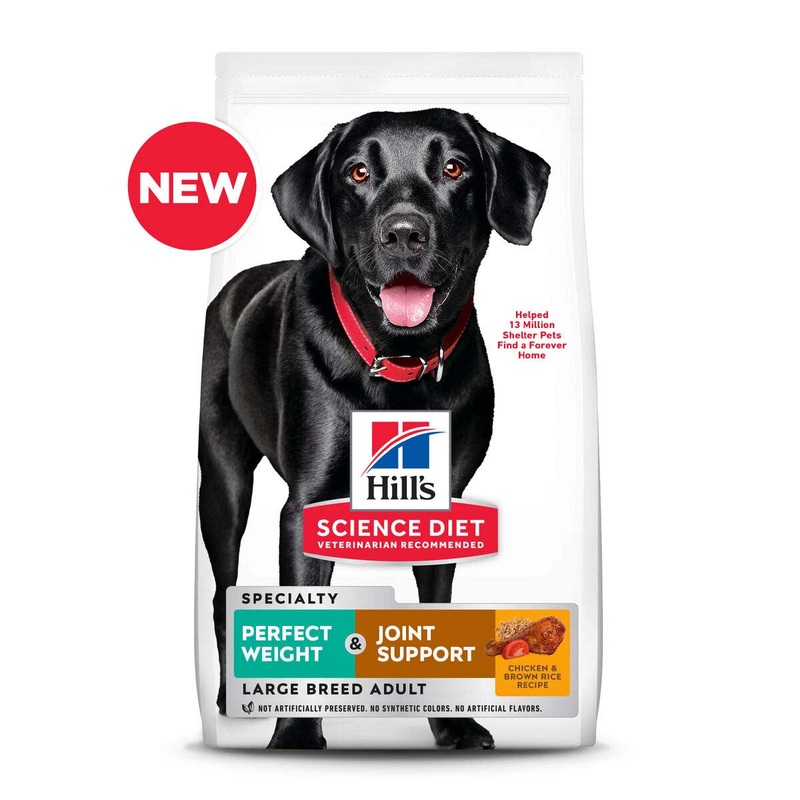 Hill’s Science Diet Adult Perfect Weight + Joint Support Large Breed – Dry Dog Food
