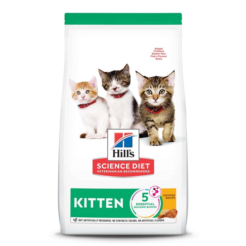 Hill’s Science Diet Kitten Healthy Development – Cat Food