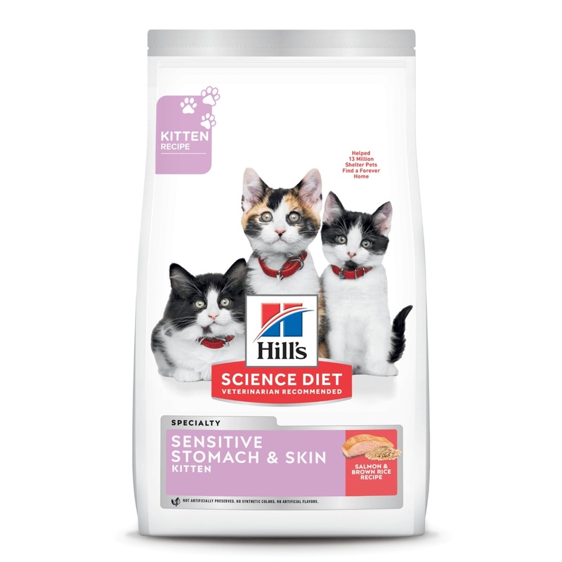 Hill’s Science Diet Kitten Sensitive Stomach & Skin Salmon & Brown Rice Recipe Dry Cat Food