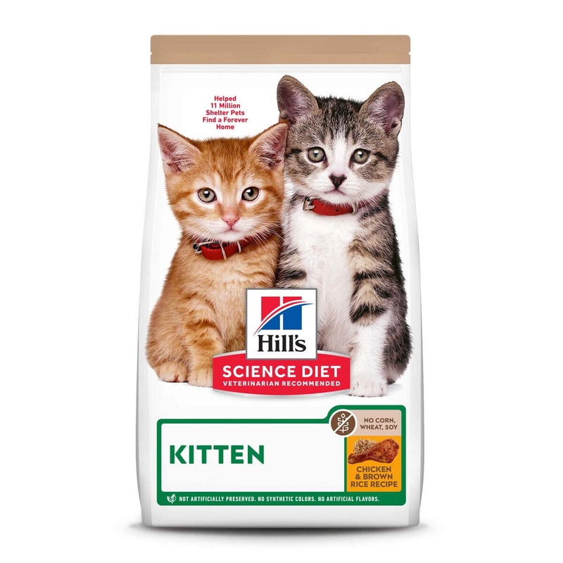 Hill’s Science Diet No Corn Wheat or Soy Kitten – Cat Food