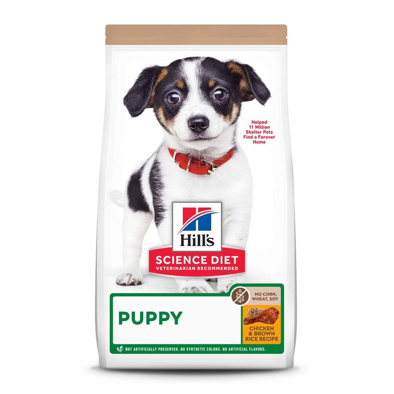 Hill’s Science Diet No Corn Wheat or Soy Puppy Healthy Development – Dog Food