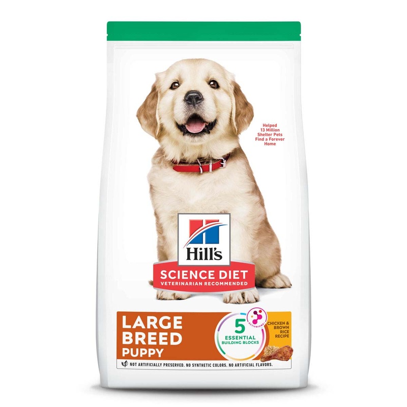 Hill’s Science Diet Puppy Large Breed – Dog Food