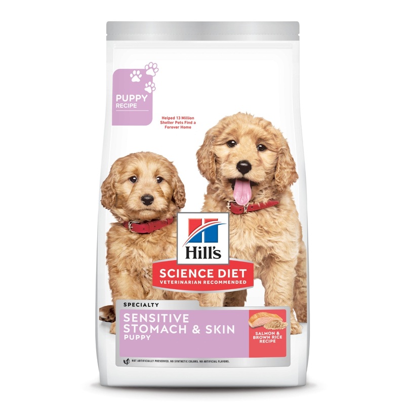 Hill’s Science Diet Puppy Sensitive Stomach & Skin Salmon & Brown Rice Recipe Dry Dog Food