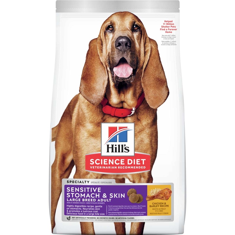 Hill’s Science Diet Sensitive Stomach & Skin Large Breed – Dog Food