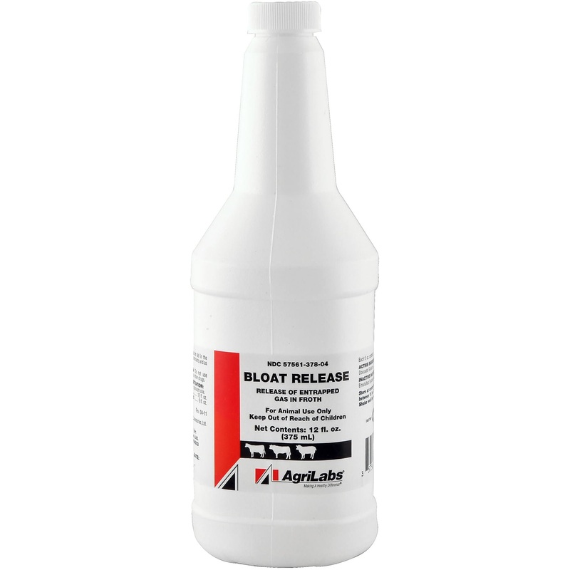 Bloat Release, 12 oz